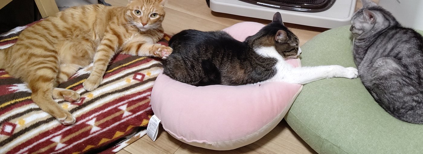 ストーブの前でくつろぐ3匹の猫。左から茶トラのなすの、キジトラ白のはやて、シルバーの縞のこまち